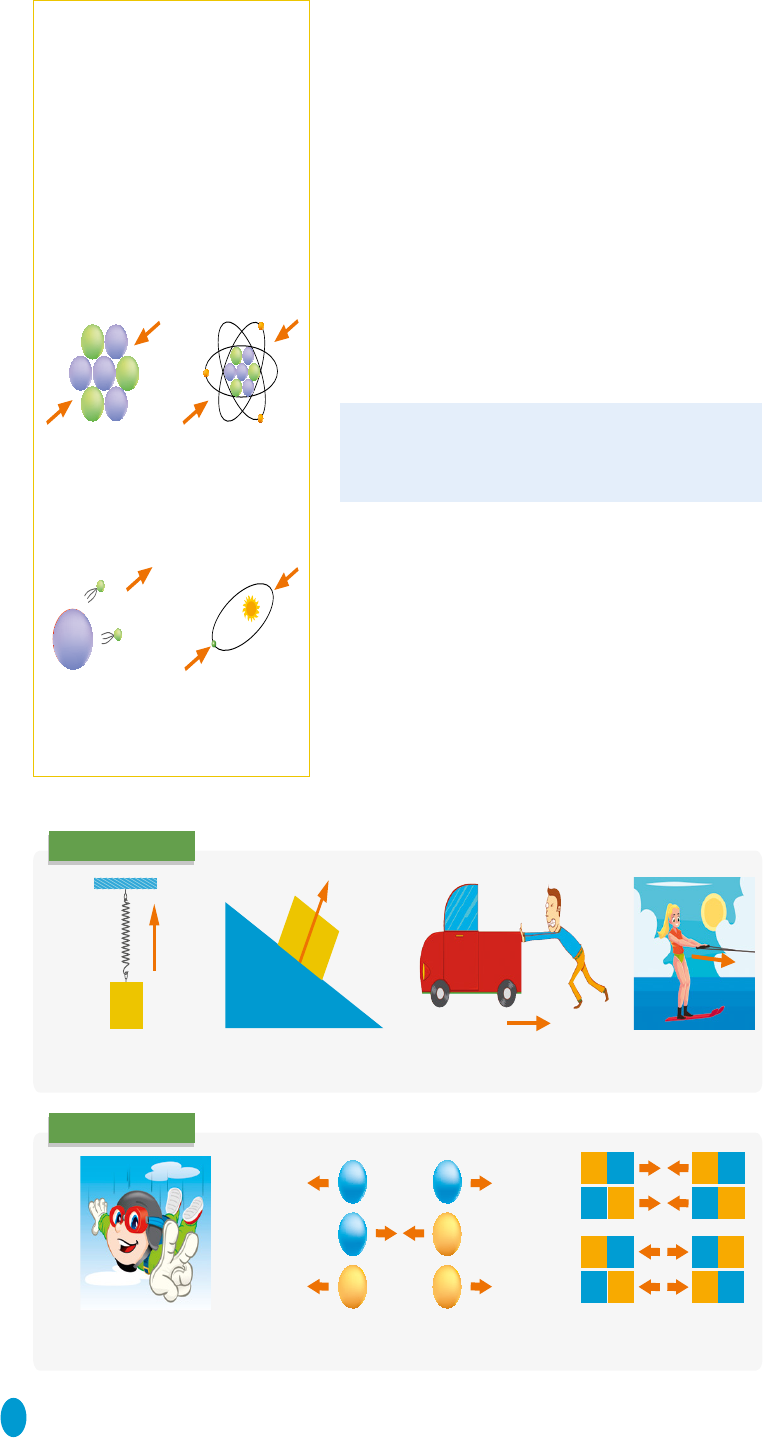 Hormiga Que Posee Fuerza Y Velocidad Libro